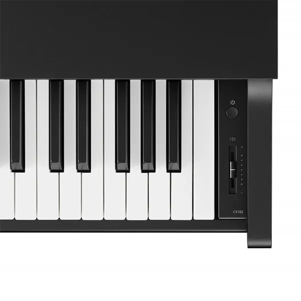 Music City – Tổng Kho Piano, Guitar, Organ | Dịch Vụ Giáo Dục Âm Nhạc