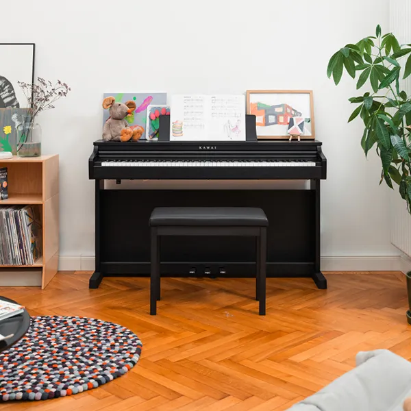 Music City – Tổng Kho Piano, Guitar, Organ | Dịch Vụ Giáo Dục Âm Nhạc