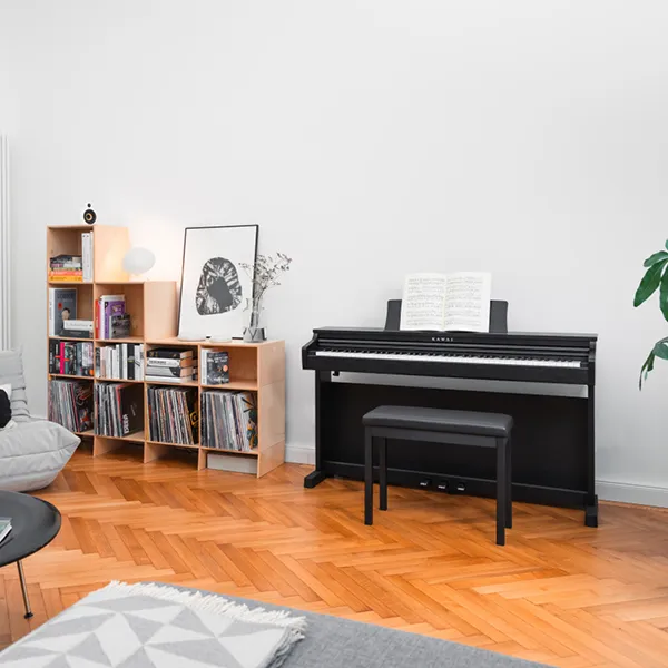 Music City – Tổng Kho Piano, Guitar, Organ | Dịch Vụ Giáo Dục Âm Nhạc