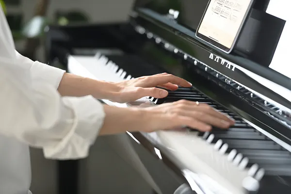 Music City – Tổng Kho Piano, Guitar, Organ | Dịch Vụ Giáo Dục Âm Nhạc