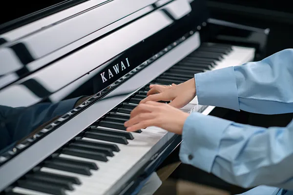 Music City – Tổng Kho Piano, Guitar, Organ | Dịch Vụ Giáo Dục Âm Nhạc