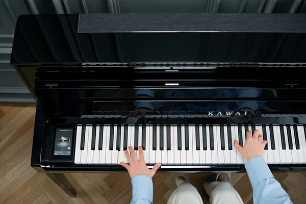 Music City – Tổng Kho Piano, Guitar, Organ | Dịch Vụ Giáo Dục Âm Nhạc