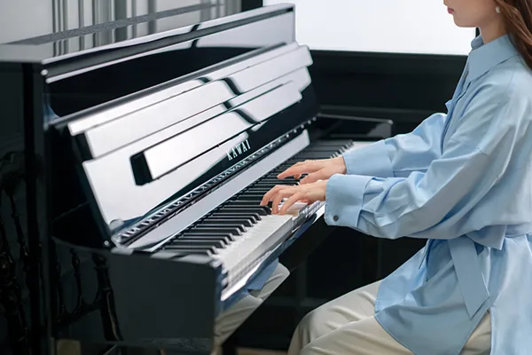 Music City – Tổng Kho Piano, Guitar, Organ | Dịch Vụ Giáo Dục Âm Nhạc
