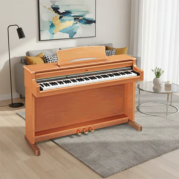 Music City – Tổng Kho Piano, Guitar, Organ | Dịch Vụ Giáo Dục Âm Nhạc