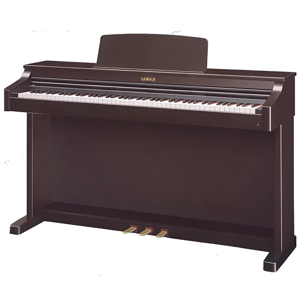 Music City – Tổng Kho Piano, Guitar, Organ | Dịch Vụ Giáo Dục Âm Nhạc
