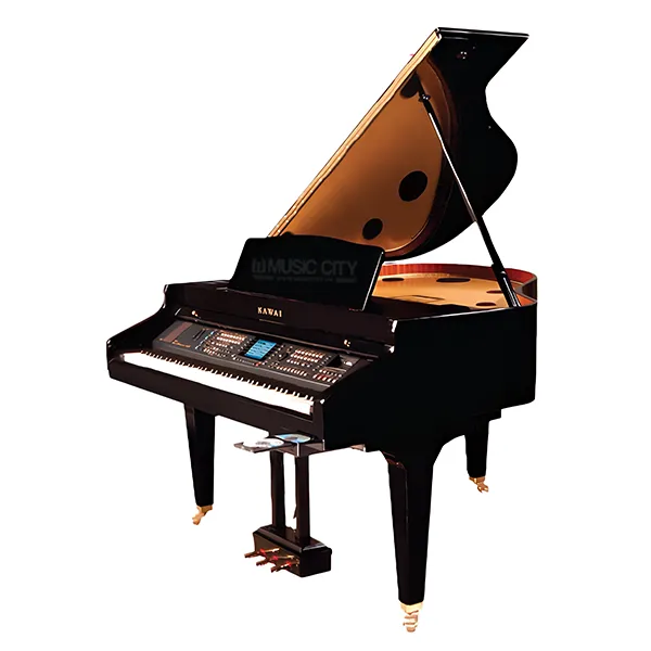 Music City – Tổng Kho Piano, Guitar, Organ | Dịch Vụ Giáo Dục Âm Nhạc