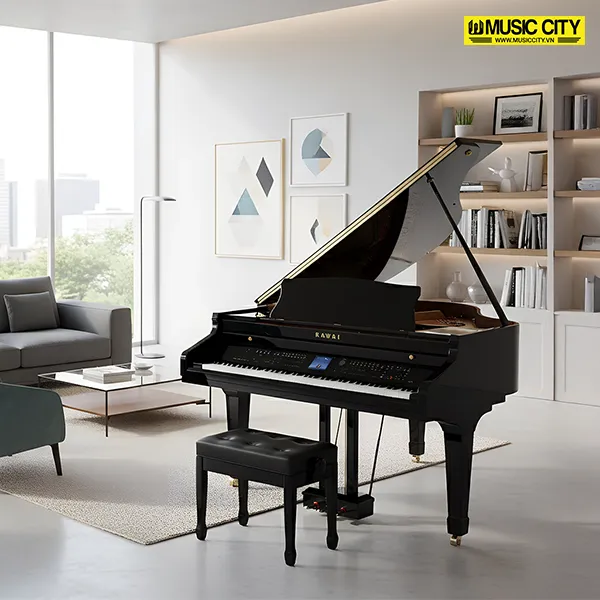Music City – Tổng Kho Piano, Guitar, Organ | Dịch Vụ Giáo Dục Âm Nhạc
