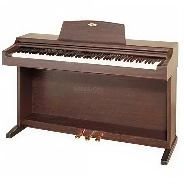 Music City – Tổng Kho Piano, Guitar, Organ | Dịch Vụ Giáo Dục Âm Nhạc