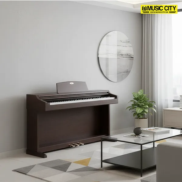 Music City – Tổng Kho Piano, Guitar, Organ | Dịch Vụ Giáo Dục Âm Nhạc