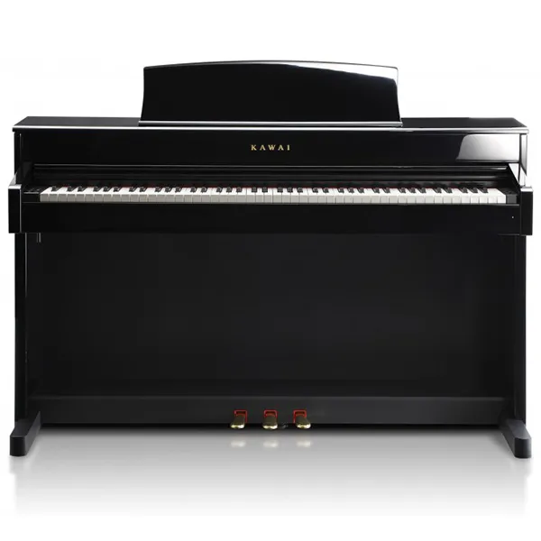 Music City – Tổng Kho Piano, Guitar, Organ | Dịch Vụ Giáo Dục Âm Nhạc