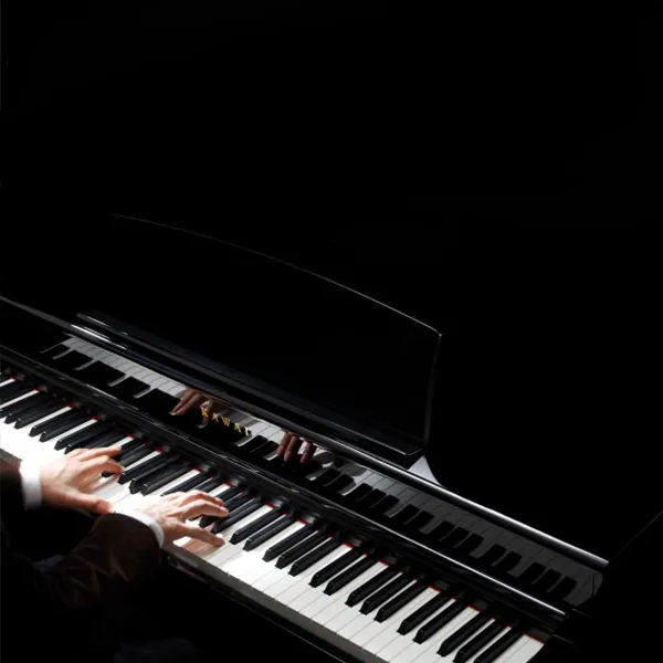 Music City – Tổng Kho Piano, Guitar, Organ | Dịch Vụ Giáo Dục Âm Nhạc