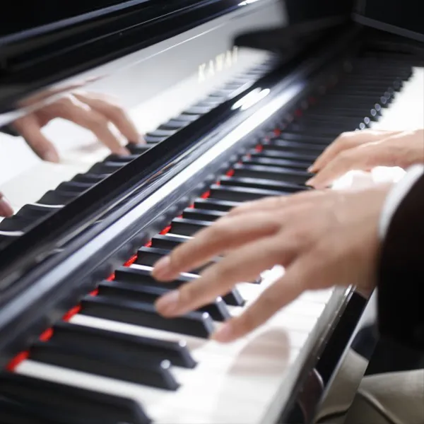 Music City – Tổng Kho Piano, Guitar, Organ | Dịch Vụ Giáo Dục Âm Nhạc