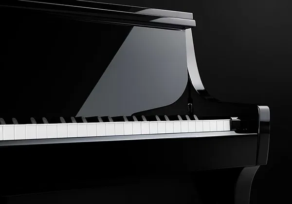 Music City – Tổng Kho Piano, Guitar, Organ | Dịch Vụ Giáo Dục Âm Nhạc