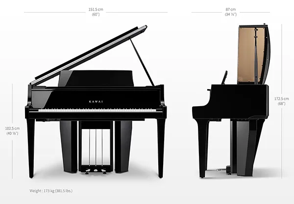 Music City – Tổng Kho Piano, Guitar, Organ | Dịch Vụ Giáo Dục Âm Nhạc