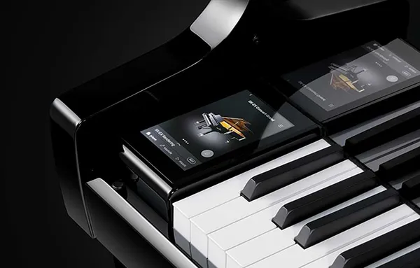 Music City – Tổng Kho Piano, Guitar, Organ | Dịch Vụ Giáo Dục Âm Nhạc