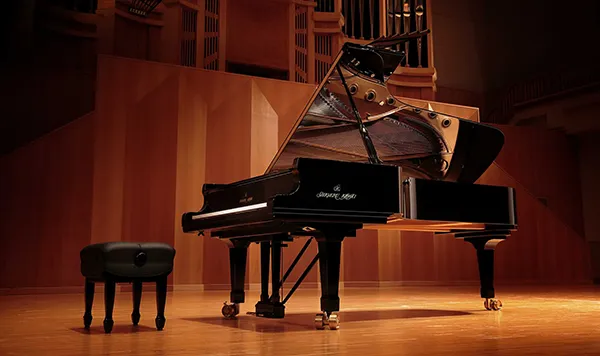 Music City – Tổng Kho Piano, Guitar, Organ | Dịch Vụ Giáo Dục Âm Nhạc