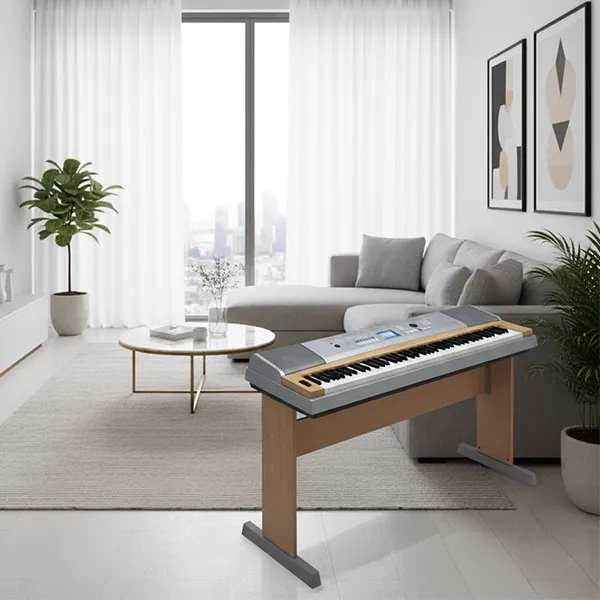 Music City – Tổng Kho Piano, Guitar, Organ | Dịch Vụ Giáo Dục Âm Nhạc