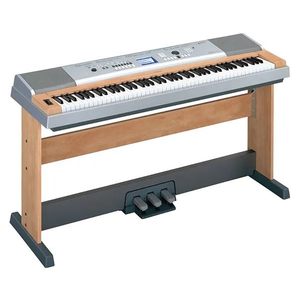 Music City – Tổng Kho Piano, Guitar, Organ | Dịch Vụ Giáo Dục Âm Nhạc
