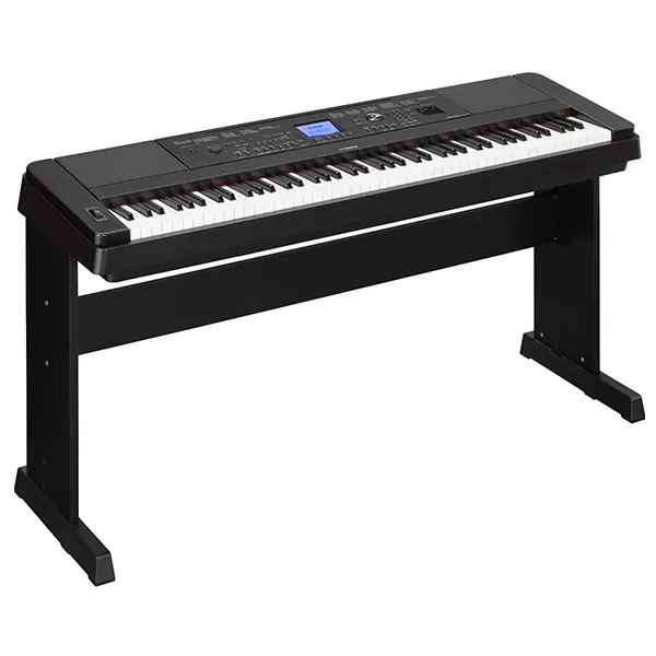 Music City – Tổng Kho Piano, Guitar, Organ | Dịch Vụ Giáo Dục Âm Nhạc