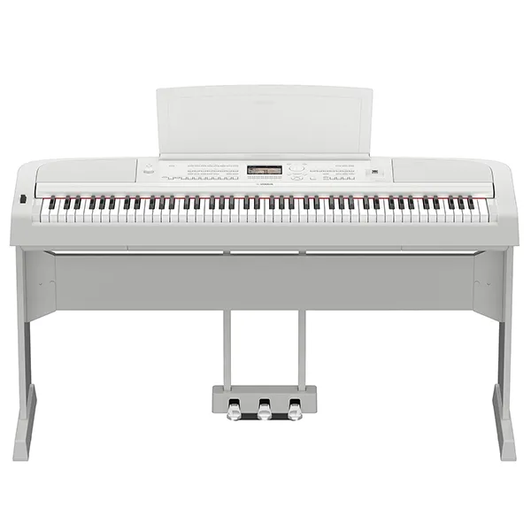 Music City – Tổng Kho Piano, Guitar, Organ | Dịch Vụ Giáo Dục Âm Nhạc