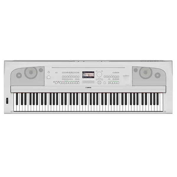 Music City – Tổng Kho Piano, Guitar, Organ | Dịch Vụ Giáo Dục Âm Nhạc
