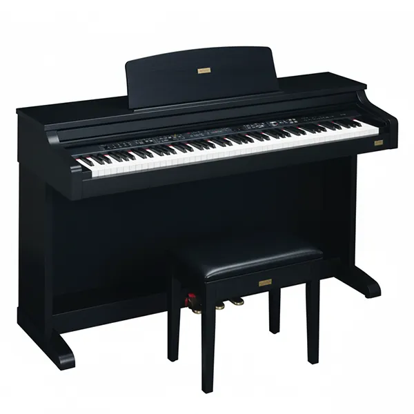 Music City – Tổng Kho Piano, Guitar, Organ | Dịch Vụ Giáo Dục Âm Nhạc