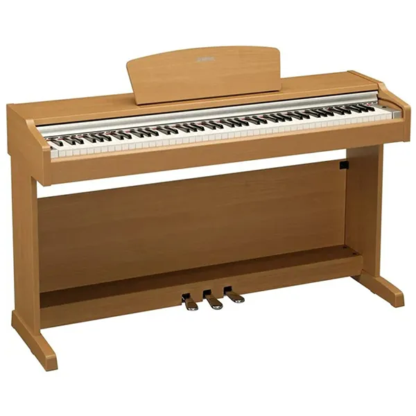 Music City – Tổng Kho Piano, Guitar, Organ | Dịch Vụ Giáo Dục Âm Nhạc