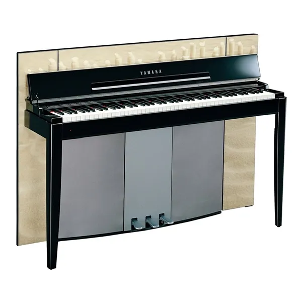 Music City – Tổng Kho Piano, Guitar, Organ | Dịch Vụ Giáo Dục Âm Nhạc