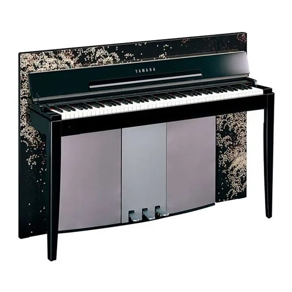 Music City – Tổng Kho Piano, Guitar, Organ | Dịch Vụ Giáo Dục Âm Nhạc