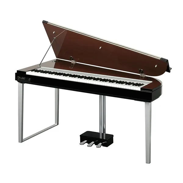 Music City – Tổng Kho Piano, Guitar, Organ | Dịch Vụ Giáo Dục Âm Nhạc