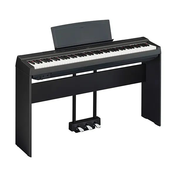 Music City – Tổng Kho Piano, Guitar, Organ | Dịch Vụ Giáo Dục Âm Nhạc