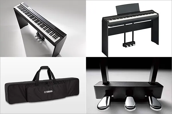 Music City – Tổng Kho Piano, Guitar, Organ | Dịch Vụ Giáo Dục Âm Nhạc