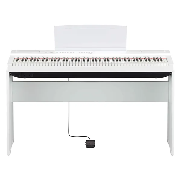 Music City – Tổng Kho Piano, Guitar, Organ | Dịch Vụ Giáo Dục Âm Nhạc