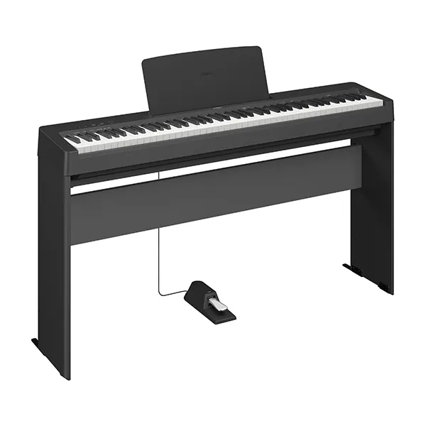 Music City – Tổng Kho Piano, Guitar, Organ | Dịch Vụ Giáo Dục Âm Nhạc