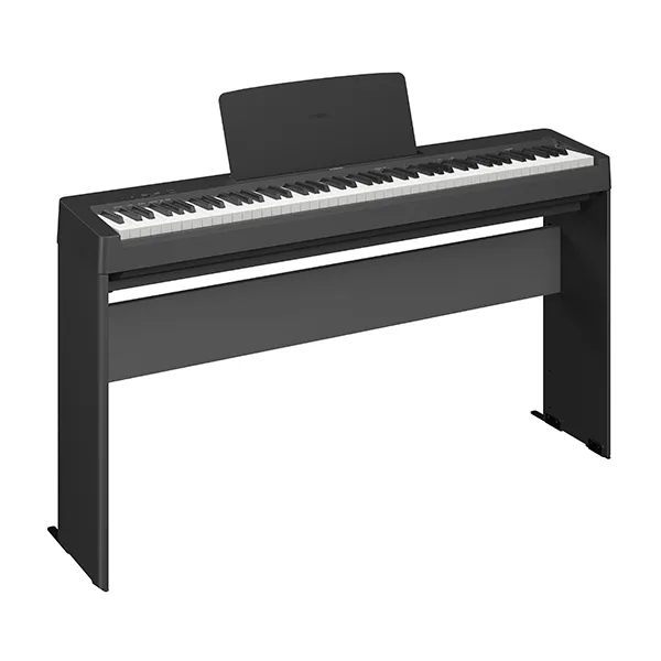 Music City – Tổng Kho Piano, Guitar, Organ | Dịch Vụ Giáo Dục Âm Nhạc