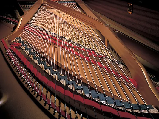 Music City – Tổng Kho Piano, Guitar, Organ | Dịch Vụ Giáo Dục Âm Nhạc