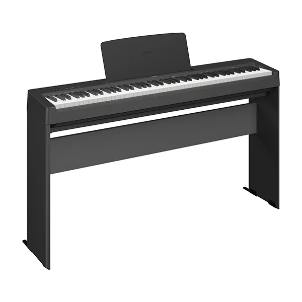 Music City – Tổng Kho Piano, Guitar, Organ | Dịch Vụ Giáo Dục Âm Nhạc