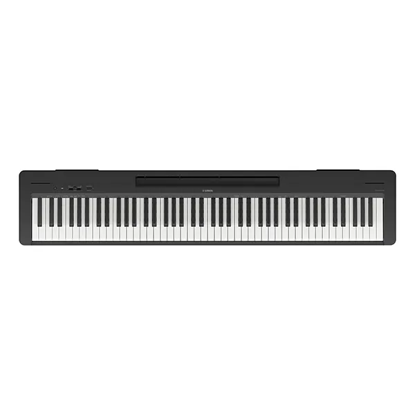 Music City – Tổng Kho Piano, Guitar, Organ | Dịch Vụ Giáo Dục Âm Nhạc