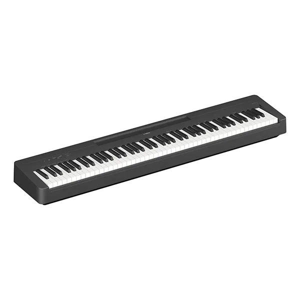 Music City – Tổng Kho Piano, Guitar, Organ | Dịch Vụ Giáo Dục Âm Nhạc