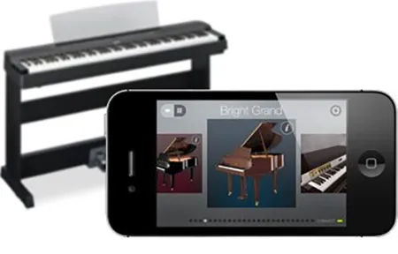 Music City – Tổng Kho Piano, Guitar, Organ | Dịch Vụ Giáo Dục Âm Nhạc