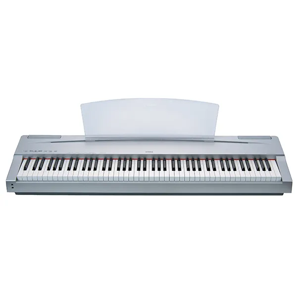 Music City – Tổng Kho Piano, Guitar, Organ | Dịch Vụ Giáo Dục Âm Nhạc