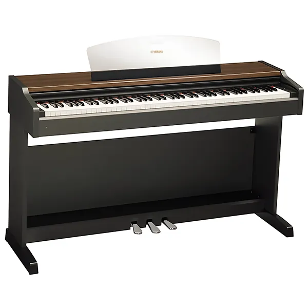 Music City – Tổng Kho Piano, Guitar, Organ | Dịch Vụ Giáo Dục Âm Nhạc