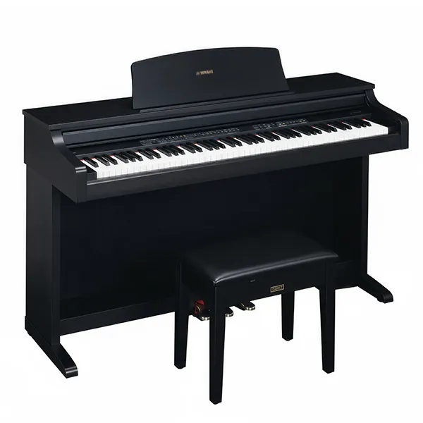 Music City – Tổng Kho Piano, Guitar, Organ | Dịch Vụ Giáo Dục Âm Nhạc