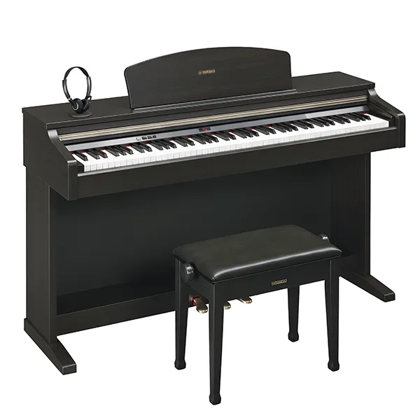 Music City – Tổng Kho Piano, Guitar, Organ | Dịch Vụ Giáo Dục Âm Nhạc
