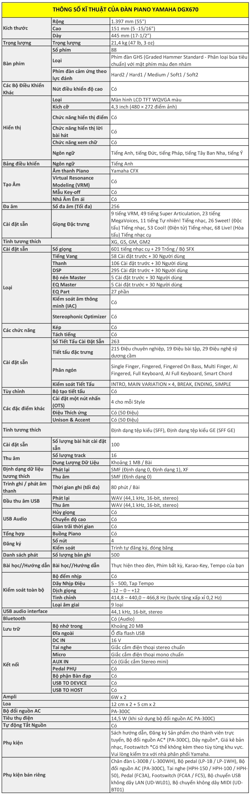 Music City – Tổng Kho Piano, Guitar, Organ | Dịch Vụ Giáo Dục Âm Nhạc