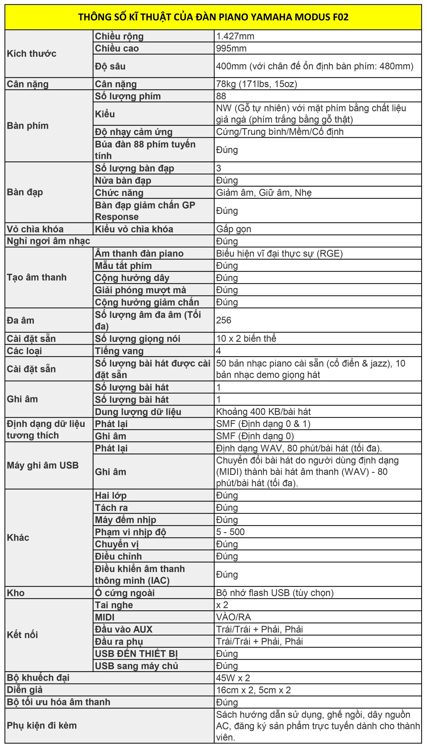 Music City – Tổng Kho Piano, Guitar, Organ | Dịch Vụ Giáo Dục Âm Nhạc