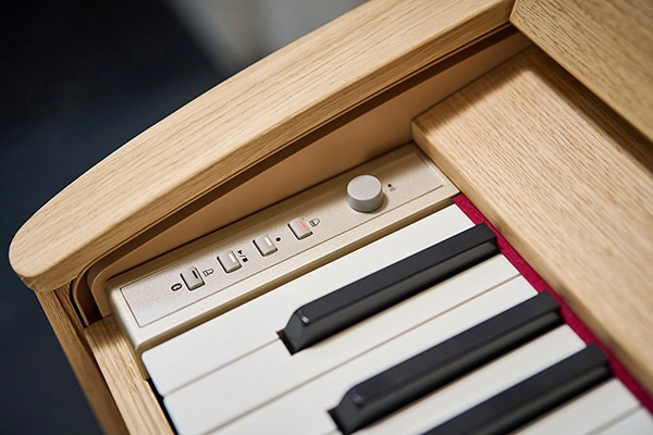 Music City – Tổng Kho Piano, Guitar, Organ | Dịch Vụ Giáo Dục Âm Nhạc