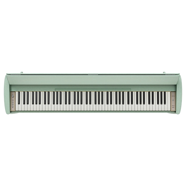 Music City – Tổng Kho Piano, Guitar, Organ | Dịch Vụ Giáo Dục Âm Nhạc