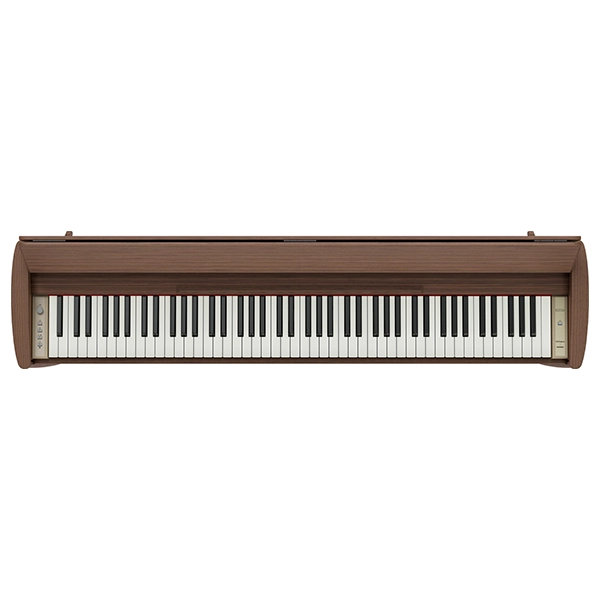 Music City – Tổng Kho Piano, Guitar, Organ | Dịch Vụ Giáo Dục Âm Nhạc