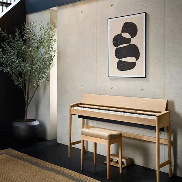 Music City – Tổng Kho Piano, Guitar, Organ | Dịch Vụ Giáo Dục Âm Nhạc